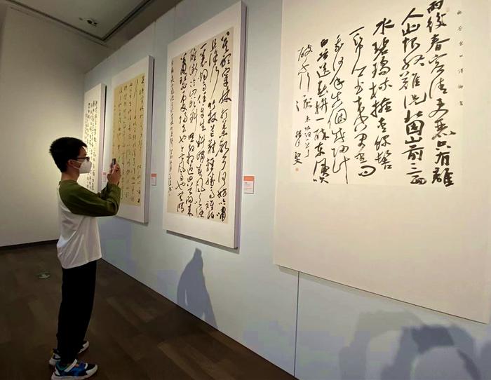 70余幅全国书法名家苏轼主题书法作品在海南省博物馆展出