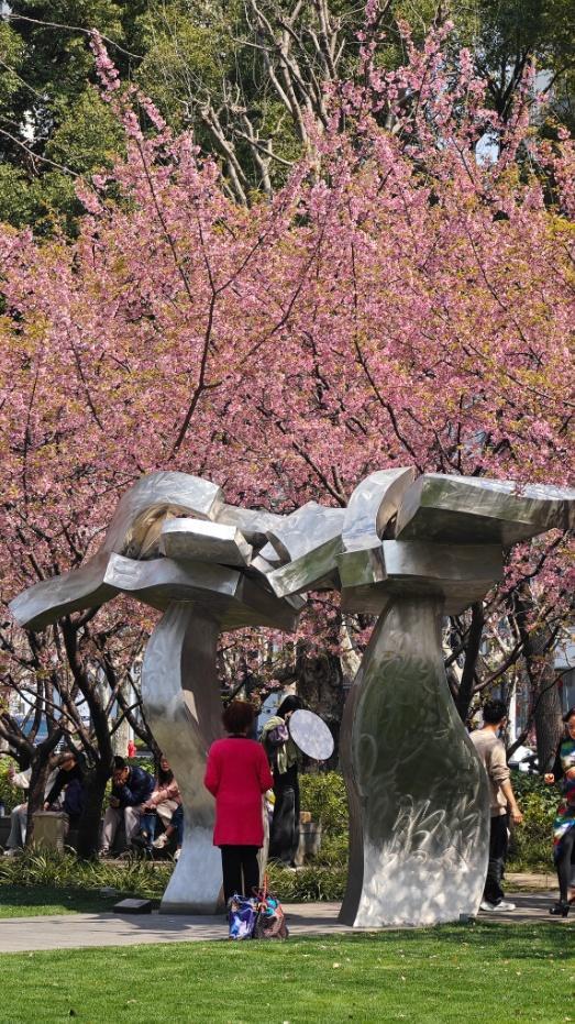 “静”观花开丨从彭浦四季到中环公园，跟着静宝来邂逅“春园”浪漫春色！