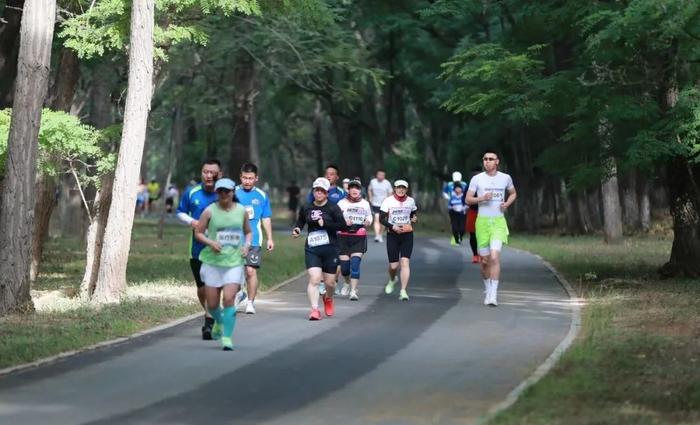 期待 | 天津这些马拉松赛事要来了！长城、森林、海滨、湖畔、绿廊……你选哪个？