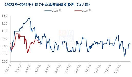 Mysteel解读：3月817小白鸡市场行情回顾