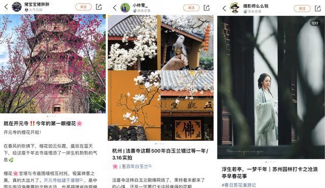 公交站、地铁车厢、古刹禅院……年轻人热衷挖掘“小众”赏花地