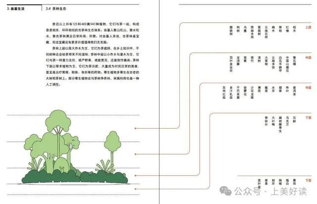 活动回顾丨《景迈山：古茶林文化景观》新书发布暨主题分享活动在上海明珠美术馆举行