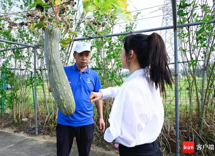 什么样的种子可以拥有“太空船票”？文昌这个研发中心来解密→