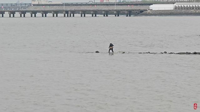 不能再放任不管！无视警告翻越堤坝赏景钓鱼，上海一长江边水岸成“野生景点”