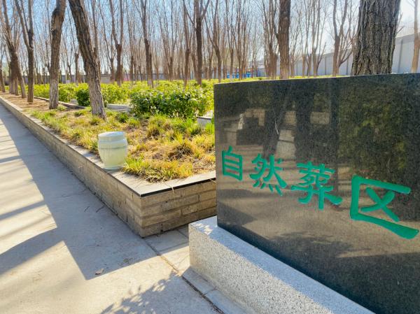 北京大兴：持续深化殡葬改革 实现“逝有所安”