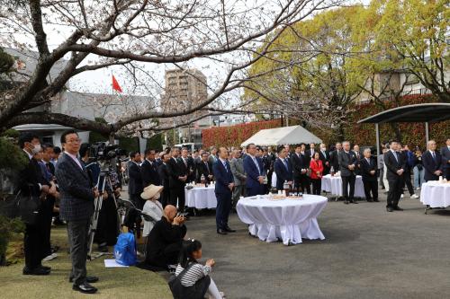 驻长崎总领事张大兴出席总领馆举办的2024年赏樱会
