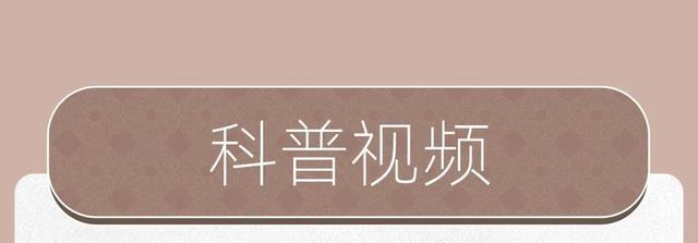 春花烂漫的4月，都有哪些精彩活动→