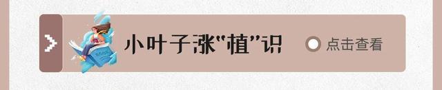 春花烂漫的4月，都有哪些精彩活动→