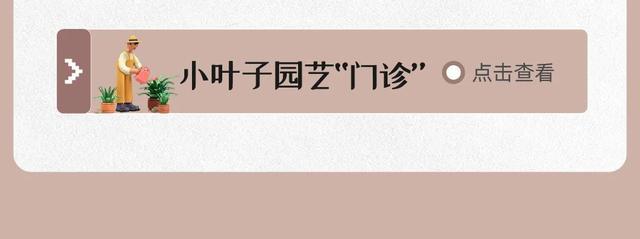 春花烂漫的4月，都有哪些精彩活动→