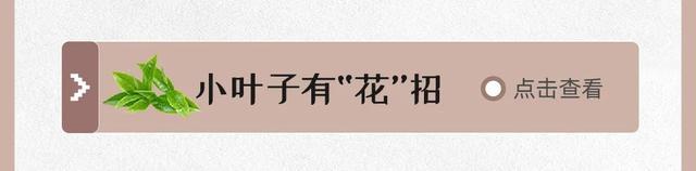 春花烂漫的4月，都有哪些精彩活动→