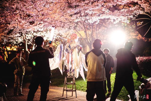 万花如海，夜如白昼！静安这座街心公园成为上海市区夜樱最佳观赏地