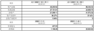 证券代码：600839    证券简称：四川长虹    公告编号：临2024-013号