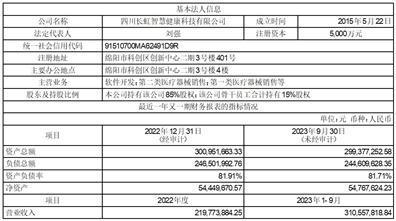 证券代码：600839    证券简称：四川长虹    公告编号：临2024-013号