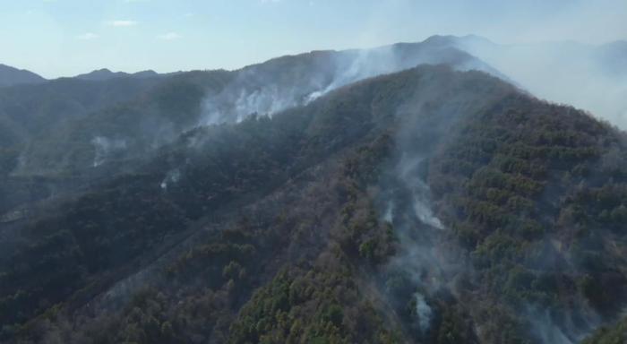 【8点见】以色列空袭伊朗驻叙使馆，致7人死亡含2名高官