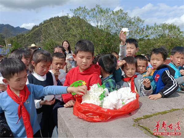 缅怀革命先烈 传承红色基因 茅岩河镇九年制学校举行清明扫墓活动