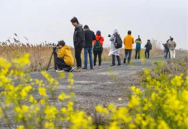 2024“绿色上海摄影节”采风活动招募！附来稿选登