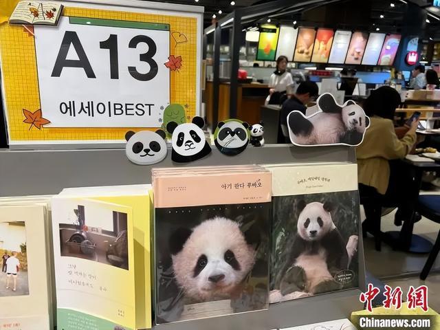 旅韩大熊猫“福宝”离开韩国京畿道龙仁市爱宝乐园，启程返回中国