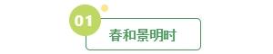 清明假期不想人挤人？看河南台的这一份攻略就够了