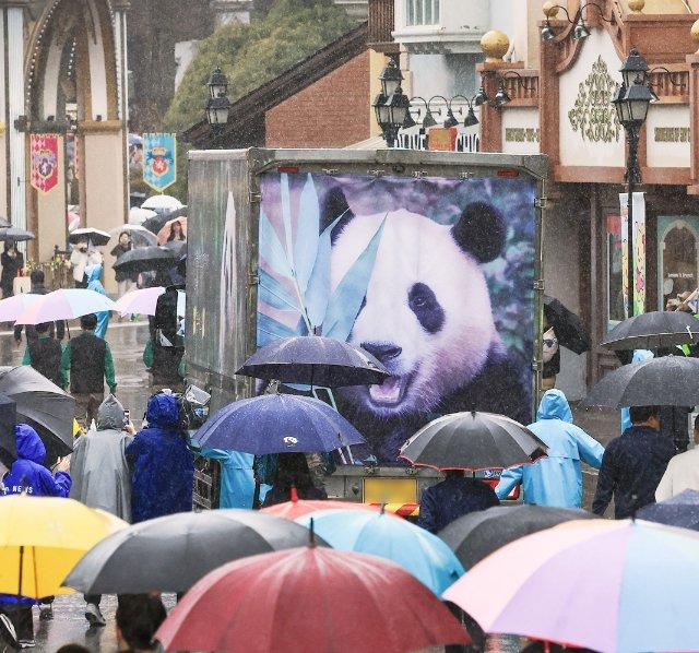 饲养员姜爷爷全程陪伴！旅韩大熊猫“福宝”抵达四川老家，即将开始隔离检疫