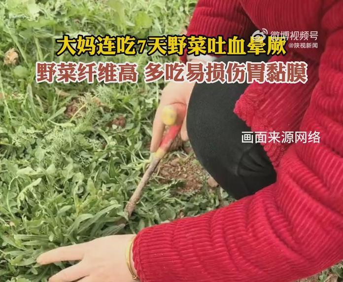 杭州大妈连吃7天野菜吐血晕厥，医生提醒