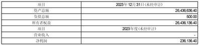 证券代码：002122    证券简称：汇洲智能    公告编号：2024-008