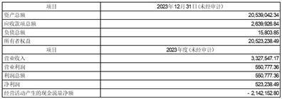 证券代码：002122    证券简称：汇洲智能    公告编号：2024-008