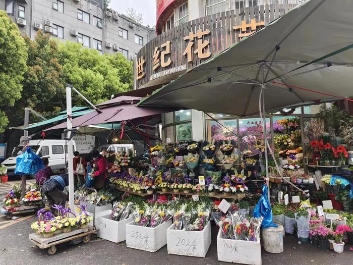 今年清明黄、白菊花价格低于去年！百合、雏菊寄语亲情和思念，节令鲜花正热销