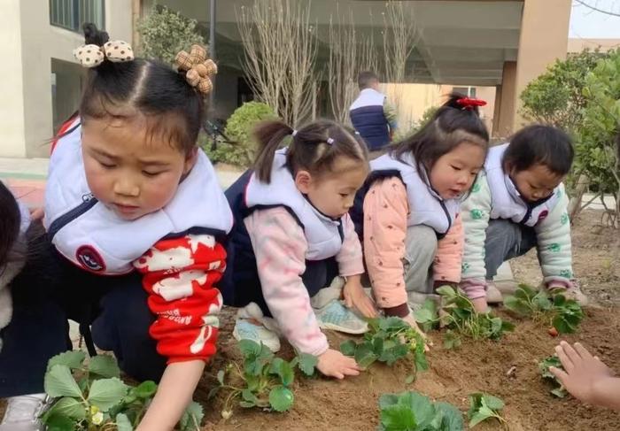 人间四月芳菲始 又是一年清明时 二七区实验幼儿园滨河路园开展清明节主题教育活动