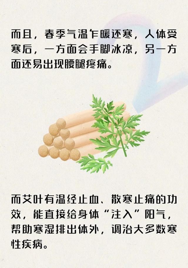 清明节气寒湿交杂，快在饭锅里加一把除寒祛湿草吧~