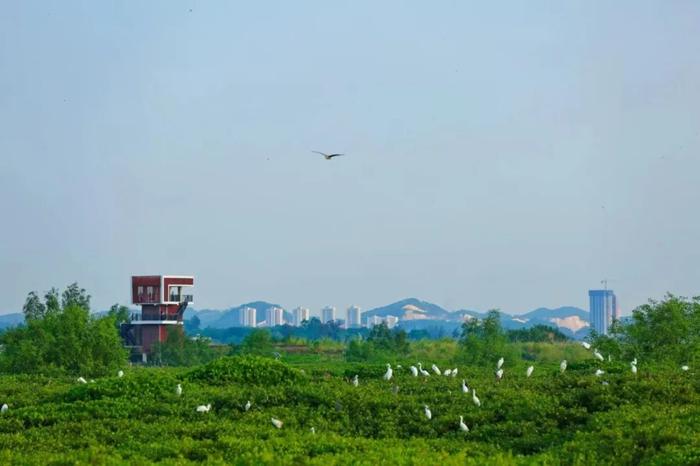 8条精品旅游线路！“三月三”“五一”假期，一起畅游滨海运河城吧~