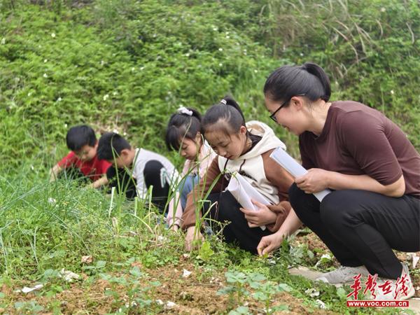 汝城县马桥镇外沙学校举行“劳动·育人”劳动周启动仪式