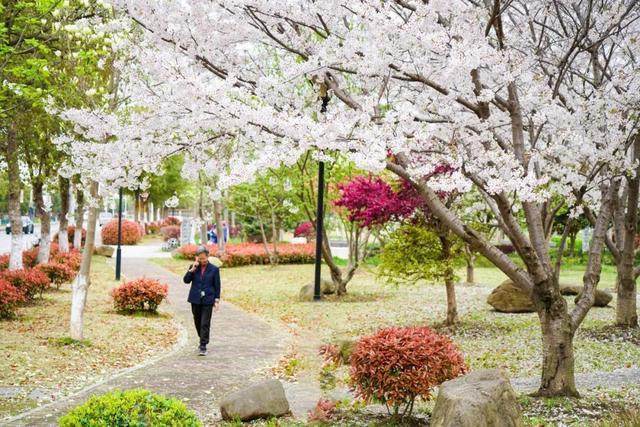 共赴春光旖旎之约！你有一封来自海湾旅游区春天的“邀请函”→