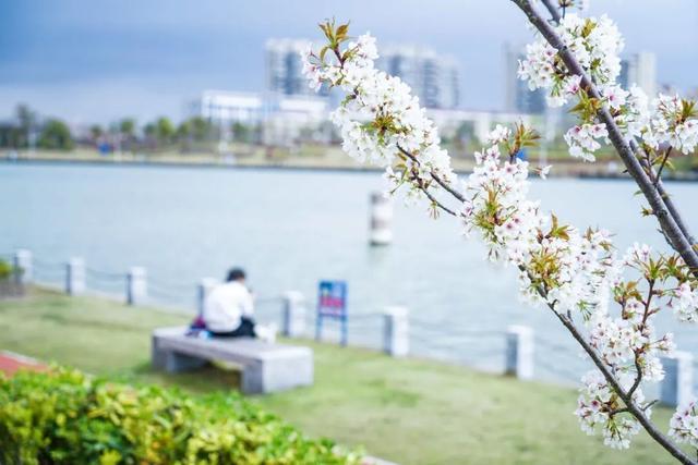 共赴春光旖旎之约！你有一封来自海湾旅游区春天的“邀请函”→