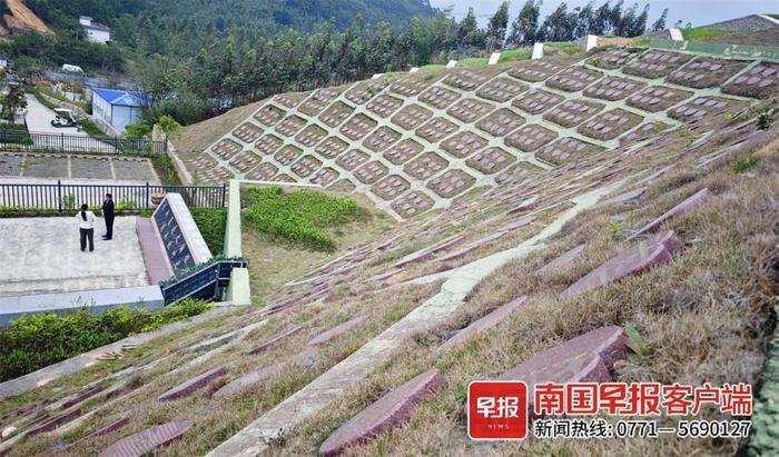 结合本地民俗，增加人文关怀！广西探索生态殡葬新方式