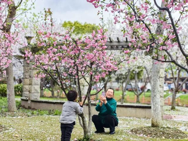 共赴春光旖旎之约！你有一封来自海湾旅游区春天的“邀请函”→