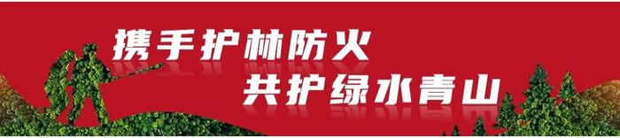 速看！事关云南省2024年中小学教师资格认定