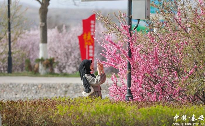 凤山春色美 游客踏春来（组图）