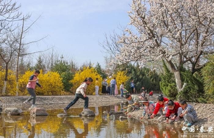 凤山春色美 游客踏春来（组图）