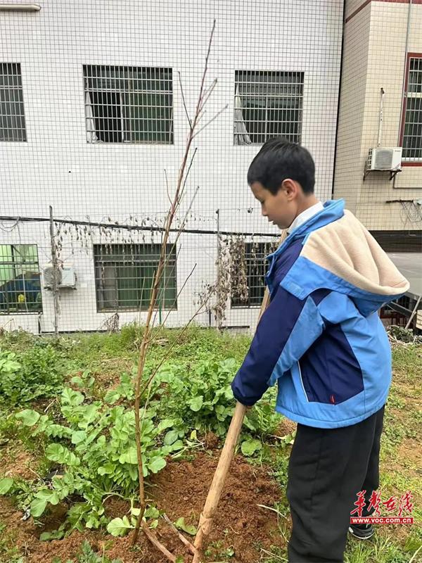 衡山县城北小学开展雷锋月主题系列活动纪实