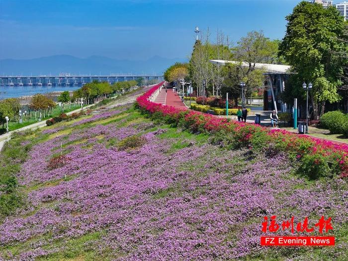 福州赏花地图，来了！