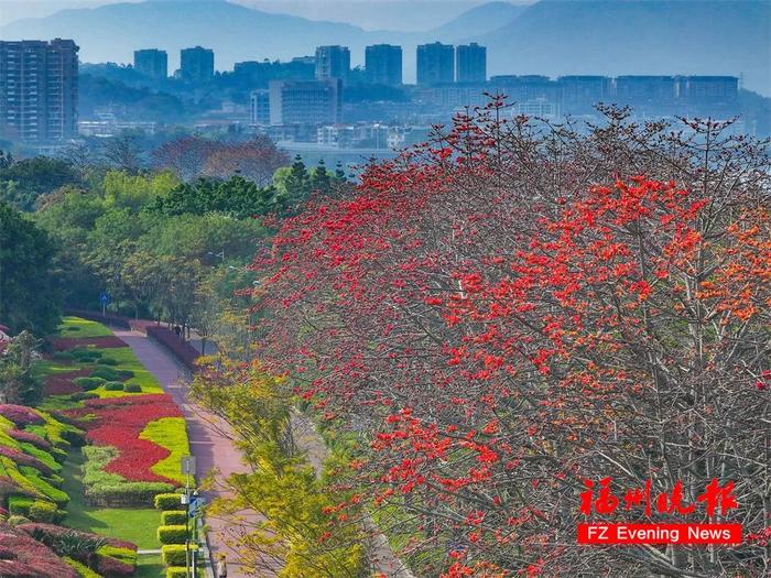 福州赏花地图，来了！