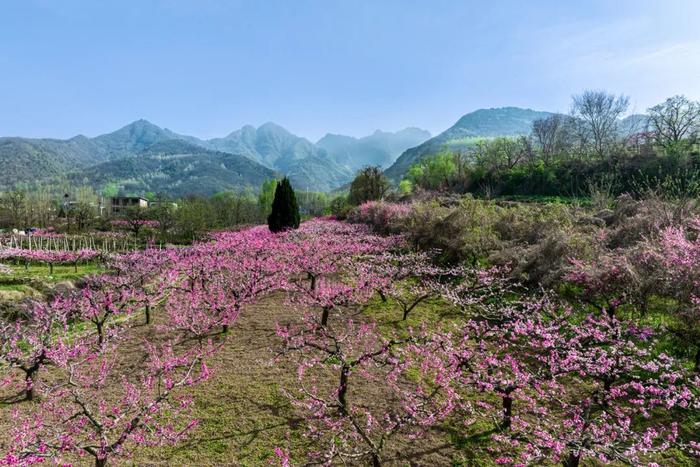 全国精品景点线路！西安这条旅游线路上榜→