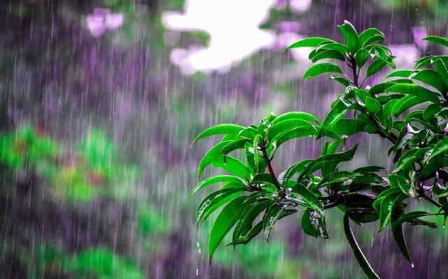 近期雨要下到什么时候？为何一到清明就容易下雨？