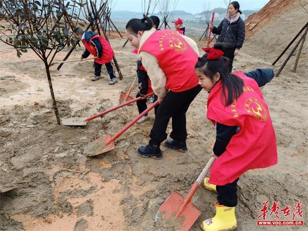 南岳完小 ：“六雅”志愿行 追“锋”正当时