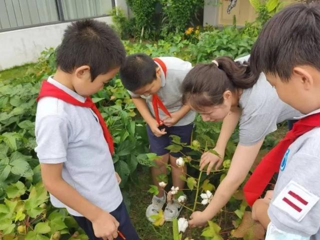 儿童友好学校怎么建，来看徐汇这所小学的实践