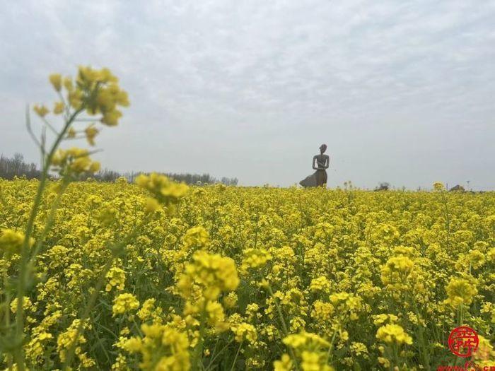 中华文明的灿烂瑰宝：龙山黑陶——平陵田园赏花季黑陶研学游