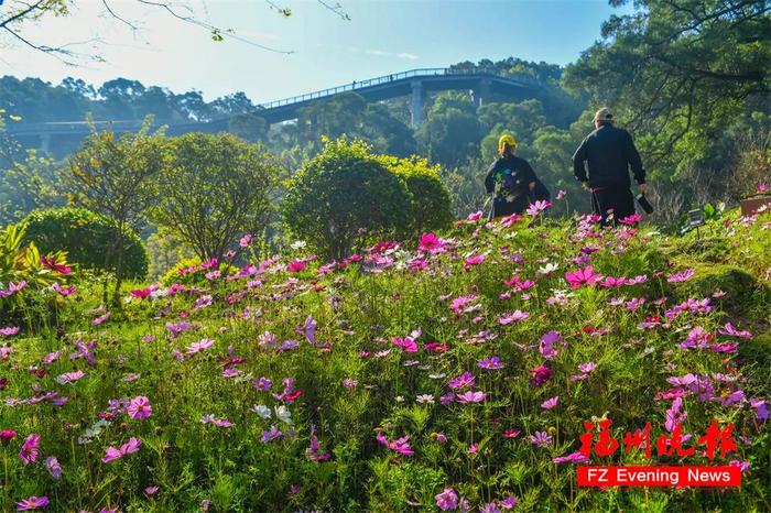 福州赏花地图，来了！