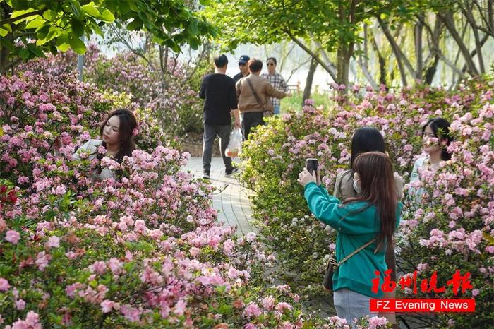 福州赏花地图，来了！