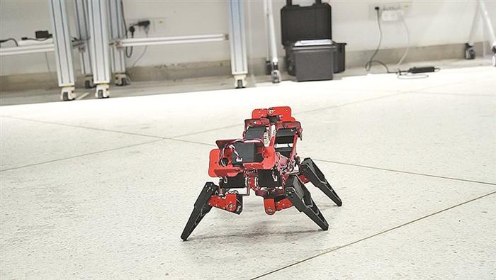 南科大研制出“新一代变形金刚” 变胞机器人可变小狗、变蜘蛛，能钻狭窄通道、能攀爬阶梯