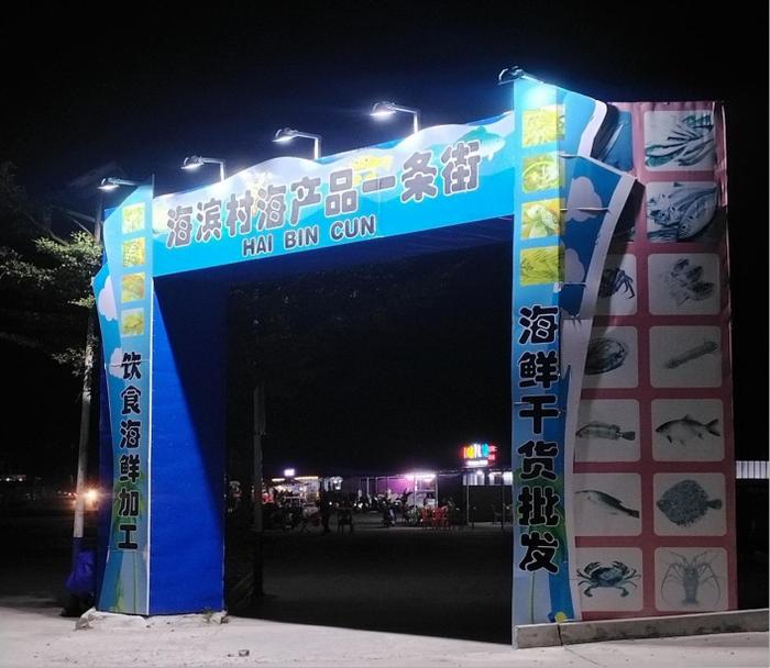 乐东海滨村：建起“海产品一条街” 招来了游客 引来了商机